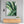 Load image into Gallery viewer, Modern Tropical Banana Leaf Wall Art - Staunton and Henry
