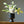 Load image into Gallery viewer, Monochrome Midcentury Modern Plant Pots - Staunton and Henry