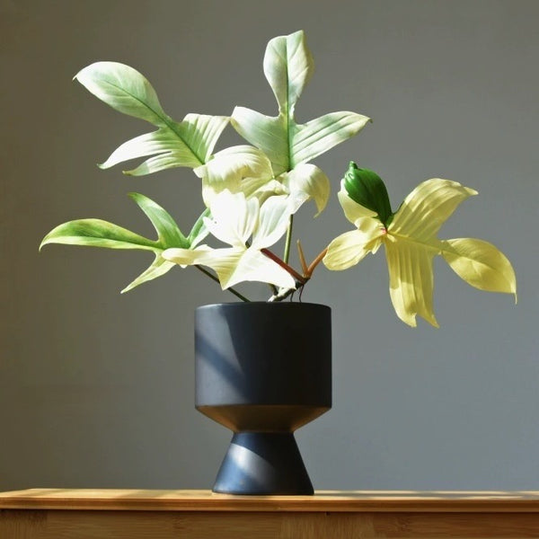 Monochrome Midcentury Modern Plant Pots - Staunton and Henry