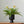 Load image into Gallery viewer, Monochrome Midcentury Modern Plant Pots - Staunton and Henry