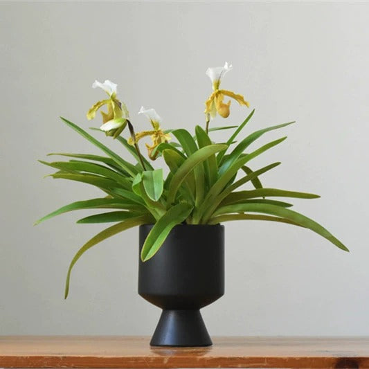 Monochrome Midcentury Modern Plant Pots - Staunton and Henry