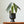 Load image into Gallery viewer, Monochrome Midcentury Modern Plant Pots - Staunton and Henry