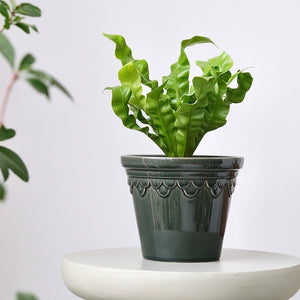 Nordic Glazed Ceramic Plant Pot - Staunton and Henry