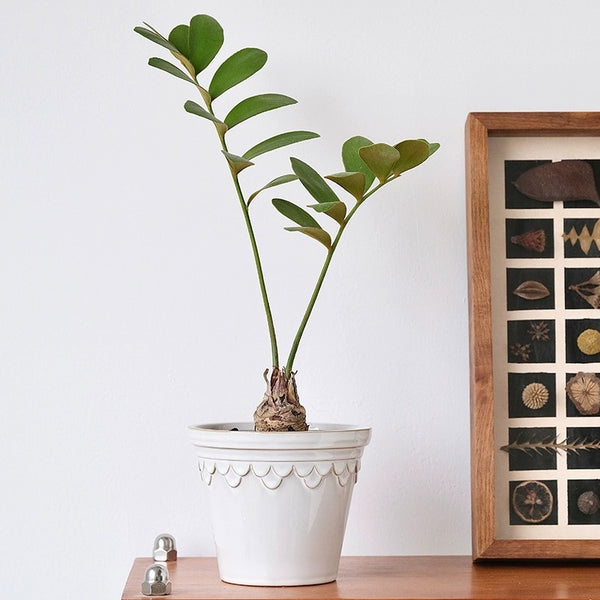 Nordic Glazed Ceramic Plant Pot - Staunton and Henry