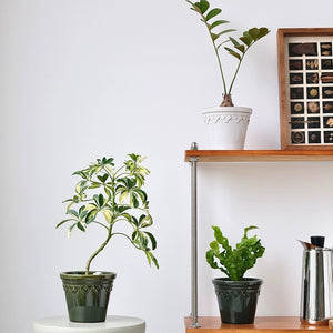Nordic Glazed Ceramic Plant Pot - Staunton and Henry