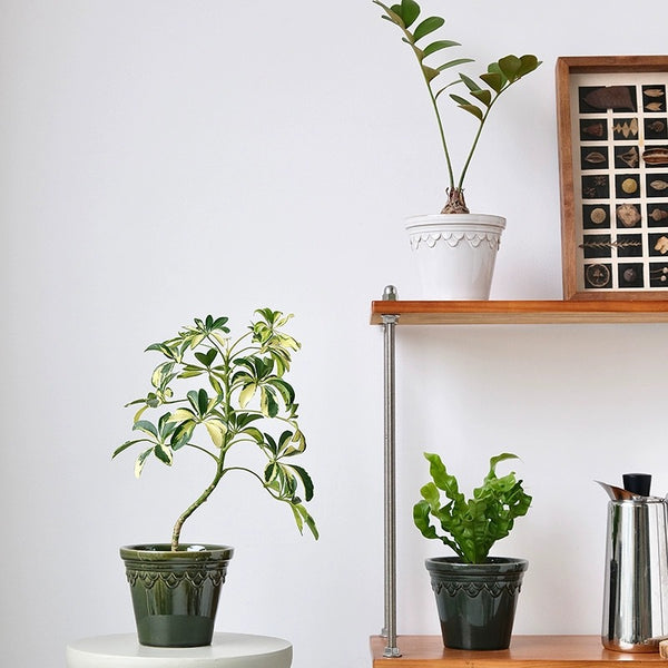 Nordic Glazed Ceramic Plant Pot - Staunton and Henry