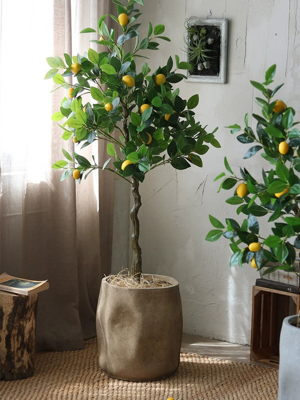 Rustic Organic Modern Plant Pot - Staunton and Henry
