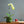 Load image into Gallery viewer, Bella Glazed Ceramic Plant Pots - Staunton and Henry