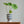 Load image into Gallery viewer, Bella Glazed Ceramic Plant Pots - Staunton and Henry
