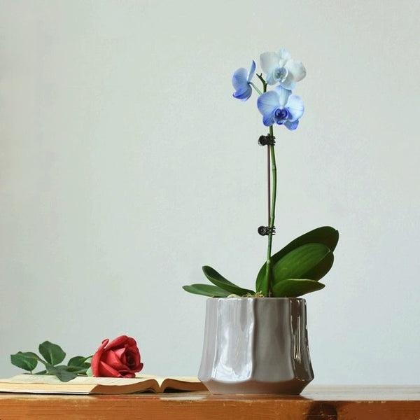 Bella Glazed Ceramic Plant Pots - Staunton and Henry
