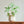 Load image into Gallery viewer, Organic Modern Ceramic Plant Pot - Staunton and Henry