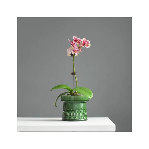 Green Nordic Ceramic Plant Pot - Staunton and Henry