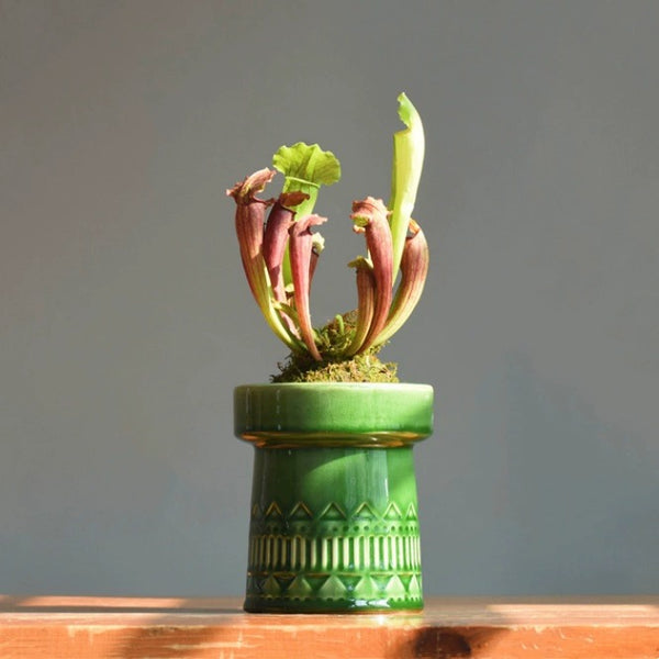 Green Nordic Ceramic Plant Pot - Staunton and Henry