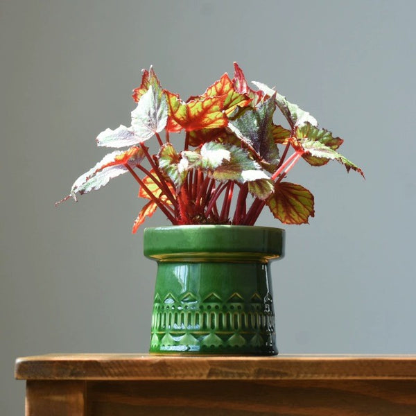 Green Nordic Ceramic Plant Pot - Staunton and Henry