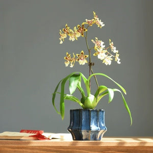 Glazed Blue Ceramic Plant Pot - Staunton and Henry