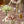 Load image into Gallery viewer, Artificial Dahlia and Poppies Stems - Staunton and Henry