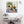 Load image into Gallery viewer, Plants Illustration Wall Art with Frame - Staunton and Henry