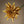 Load image into Gallery viewer, Artificial Dahlia and Poppies Stems - Staunton and Henry