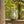 Load image into Gallery viewer, LED Battery Modern Chinese Lantern - Staunton and Henry