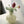 Load image into Gallery viewer, Whimsical Glass Pumpkin Vase - Staunton and Henry