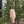 Load image into Gallery viewer, Food & Vegetable Christmas Glass Baubles - Staunton and Henry