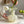 Load image into Gallery viewer, Whimsical Glass Pumpkin Vase - Staunton and Henry
