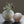 Load image into Gallery viewer, Seashell Glass Vase - Staunton and Henry