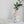 Load image into Gallery viewer, Hand Painted Ceramic Vase - Staunton and Henry