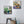 Load image into Gallery viewer, Plants Illustration Wall Art with Frame - Staunton and Henry