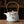 Load image into Gallery viewer, Gishiki Oriental Blossom Tea Pot - Staunton and Henry