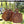 Load image into Gallery viewer, Hand Made Rustic Wooden Serving Board - Square - Staunton and Henry