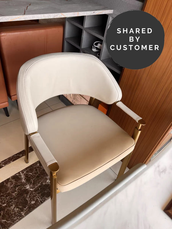 Millie Velvet Dining Chairs with Gold Legs (Set of 2) - Staunton and Henry