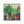 Load image into Gallery viewer, Plants Illustration Wall Art with Frame - Staunton and Henry