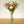 Load image into Gallery viewer, Carnation Silk Flowers - Set of 3 Stems - Staunton and Henry
