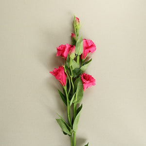 Pink Lisianthus Flowers - Set of 3 Stems - Staunton and Henry