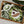 Load image into Gallery viewer, The Bahamas Tropical Tea Set - Staunton and Henry