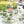 Load image into Gallery viewer, The Bahamas Tropical Tea Set - Staunton and Henry