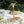 Load image into Gallery viewer, The Bahamas Tropical Tea Set - Staunton and Henry