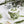 Load image into Gallery viewer, The Bahamas Tropical Tea Set - Staunton and Henry