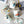Load image into Gallery viewer, The Tropics Retro Fauna Coffee Mugs - With Gold Spoon - Staunton and Henry