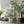 Load image into Gallery viewer, Terrazzo Pattern Plant Pots - Set of 4 - Staunton and Henry