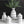 Load image into Gallery viewer, Monochrome Tile Pattern Vases - Staunton and Henry