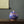 Load image into Gallery viewer, Tang Colourful Chinese Ceramic Container - Staunton and Henry