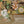 Load image into Gallery viewer, Retro Jungle Wall Mural - Staunton and Henry