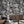 Load image into Gallery viewer, Retro Jungle Wall Mural - Staunton and Henry