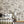 Load image into Gallery viewer, Vintage Botanical Wall Mural - Staunton and Henry