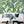 Load image into Gallery viewer, Jungle Palm Leaves Wallpaper - Staunton and Henry