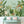 Load image into Gallery viewer, Birds of Paradise Tropical Wall Mural - Staunton and Henry