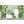 Load image into Gallery viewer, Birds of Paradise Tropical Wall Mural - Staunton and Henry
