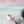 Load image into Gallery viewer, Pastel Sunrise Wall Mural - Staunton and Henry